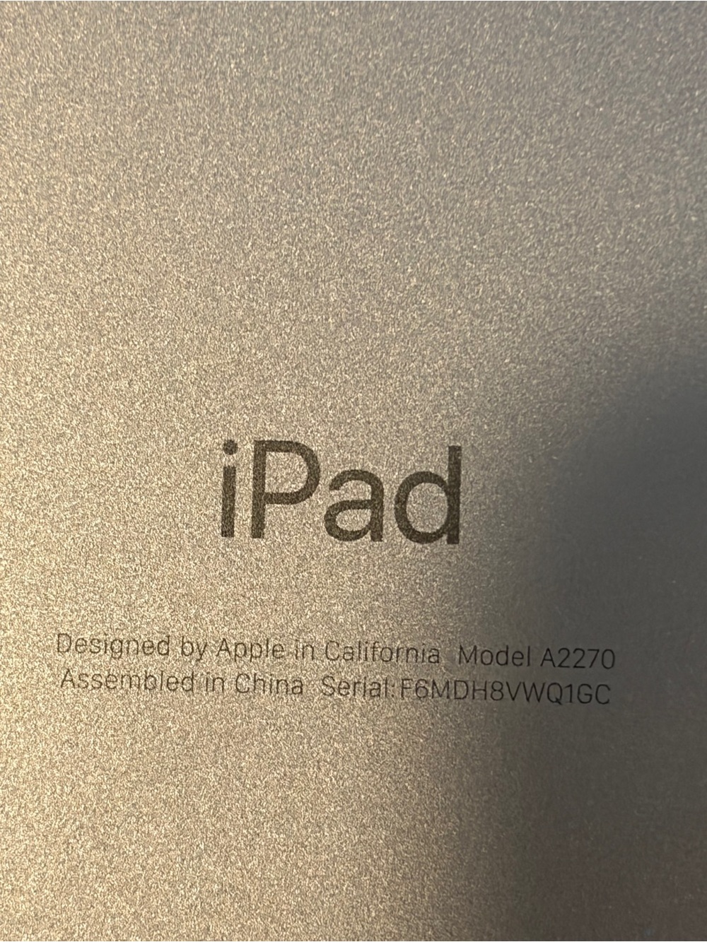 Apple iPad in Silver Tone with Branded Back comes w new cover